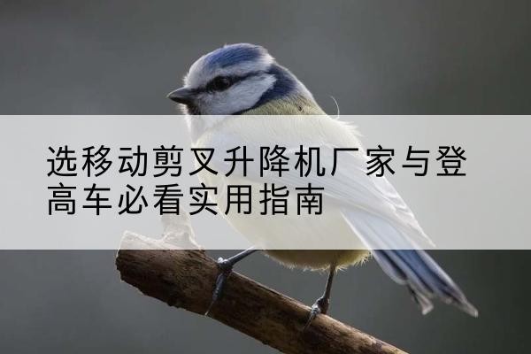 乐平电动升降机厂家-选移动剪叉升降机厂家与登高车必看实用指南