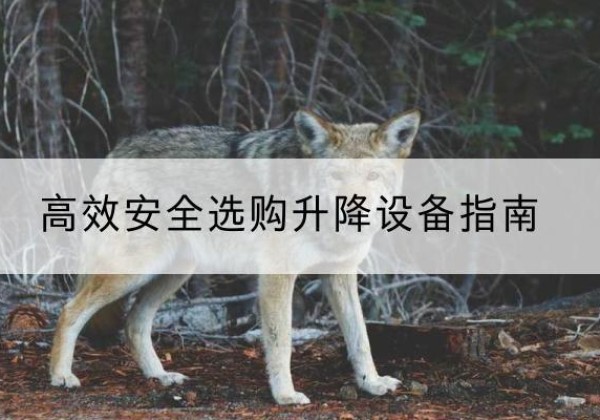 乐平升降货梯厂家推荐-*安全选购升降设备指南